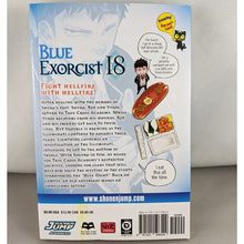 Blue Exorcist Vol 18