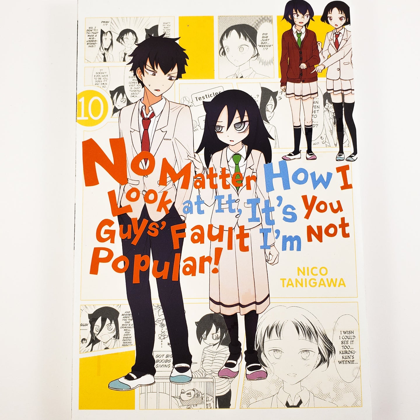 No Matter How I Look At It, It's You Guys' Fault I'm Not Popular! Volume 10. Also known as Watashi ga Motenai no wa Dō Kangaetemo Omaera ga Warui! or WataMote. Manga by Nico Tanigawa.