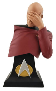 Star Trek TNG Picard Facepalm 8 Inch Resin Bust Paperweight