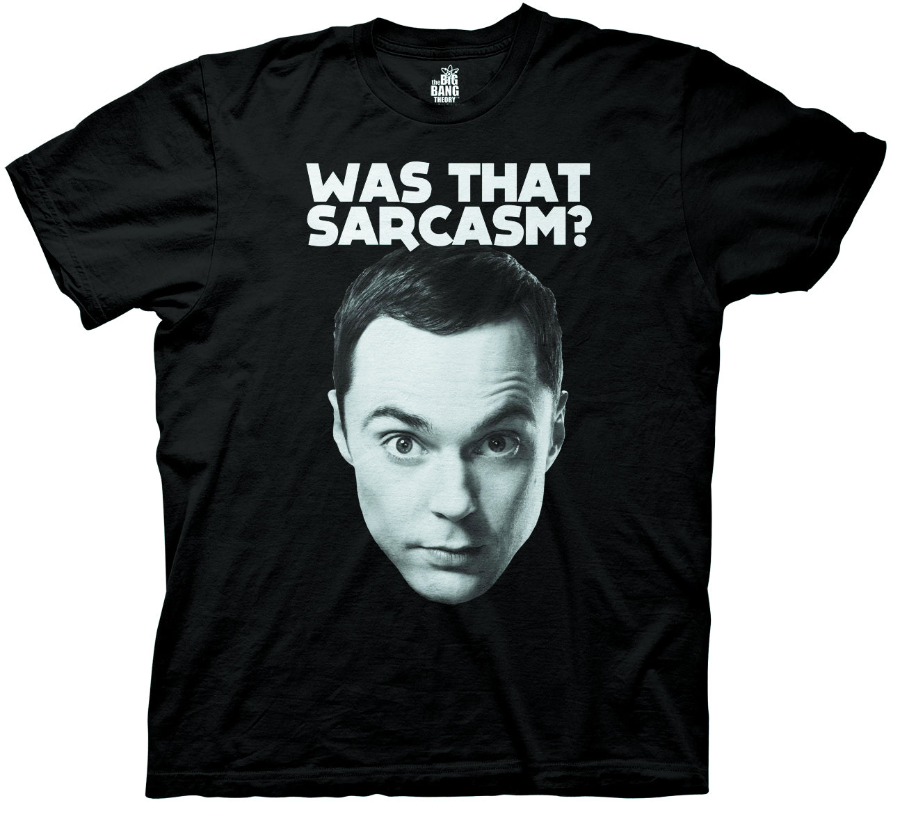 Big Bang Theory Was That Sarcasm Black T-Shirt Adult Medium