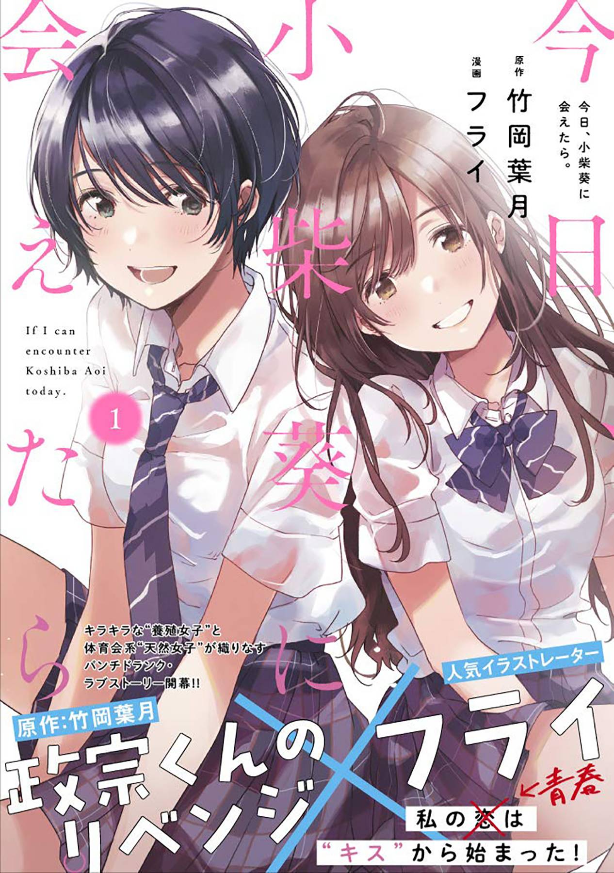 Chasing After Aoi Koshiba Vol 1