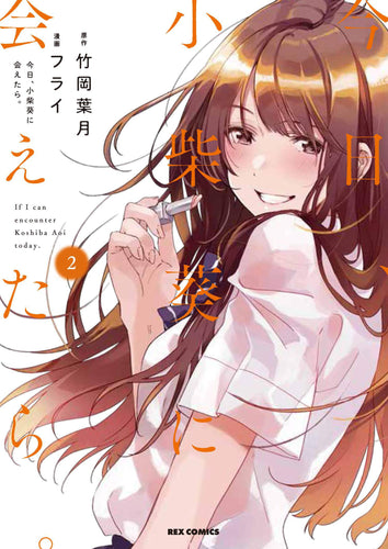 Chasing After Aoi Koshiba Vol 2