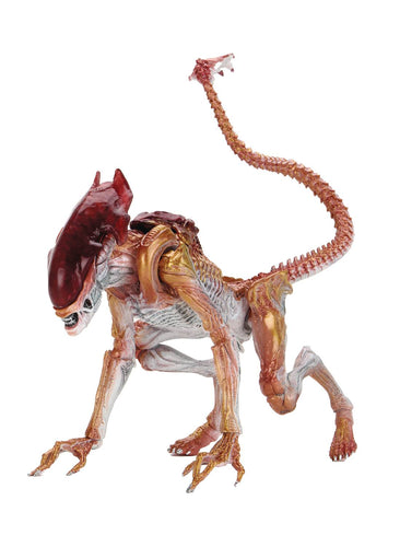 Aliens Kenner Tribute Ultimate Panther Alien 7 in Action Figure