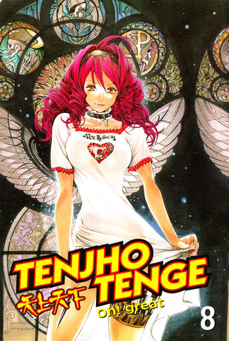 Tenjho Tenge manga volume 8